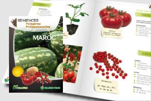 Catalogue semences potagères Maroc Semapro