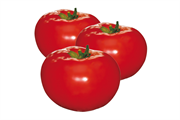 Tomate déterminée KARIMA F1